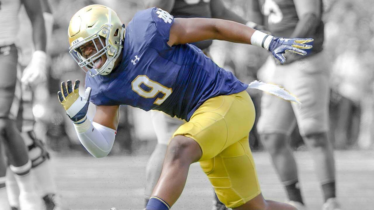 Daelin Hayes, Notre Dame Defense